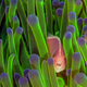 Image for article titled The most inspiring nature photography of the year